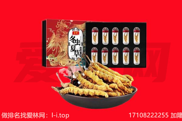 东源县回收虫草.jpg